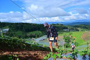 BIB: 
                            <button type="button" onclick="openModal(13381457)" class="btn btn-primary btn-sm float-right btn-popup" data-toggle="modal" data-target=".modal-high-quality">
                        <i class="fas fa-shopping-cart"></i> Add to Cart
                    </button>
                                            <button type="button" onclick="isThisMe(13381457, true)" class="btn btn-success btn-sm float-right btn-popup btn-isme hidden" data-toggle="tooltip" data-placement="bottom" title="นี่คือรูปของคุณใช่ไหม คลิกที่นี่เพื่อเอาเข้าอัลบั้ม">
                        <i class="fas fa-plus"></i> Add to album
                    </button>
                    <button type="button" onclick="isThisMe(13381457, false)" class="btn btn-warning btn-sm float-right btn-popup btn-isnotme hidden">
                        <i class="fas fa-ban"></i> Remove from album
                    </button>